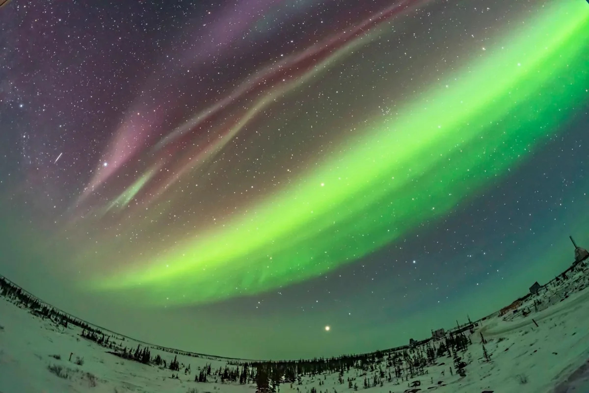 February 2026: What’s in the sky this month? Jupiter continues to dominate the night; Mercury, Venus, and Saturn are visible