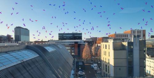 New Tool May Cut Collision Risk for Earth Satellites