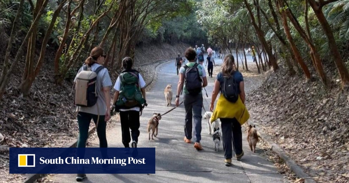 How walking in Hong Kong is helping with cancer recovery and mental health
