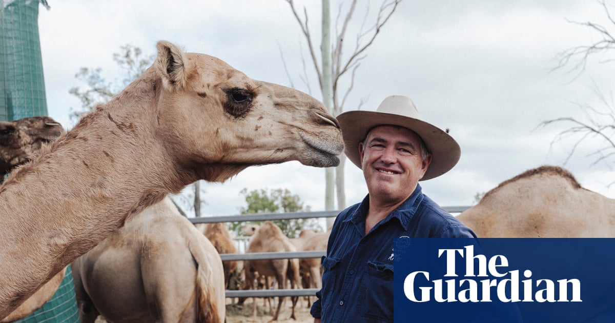 How an Australian farmer is planning to get US consumers hooked on camel milk | Australia news