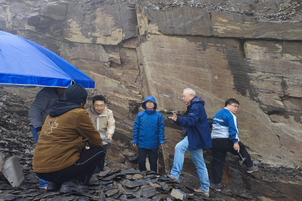 Soft-bodied fossil deposit in Hunan’s Huayuan fills gap in Earth’s history