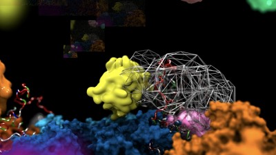 Power of Tiny Molecular ‘Flycatcher’ Surprises Through Disorder