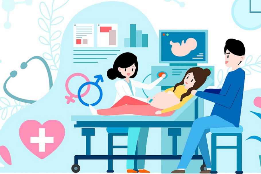 ‘Protein factories’ linked to age-related infertility