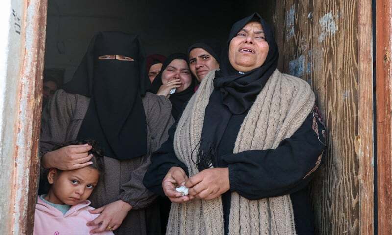 Israeli strikes kill seven more Palestinians across Gaza – World