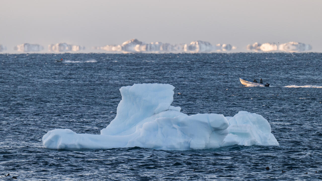 AI to track icebergs adrift at sea in boon for science