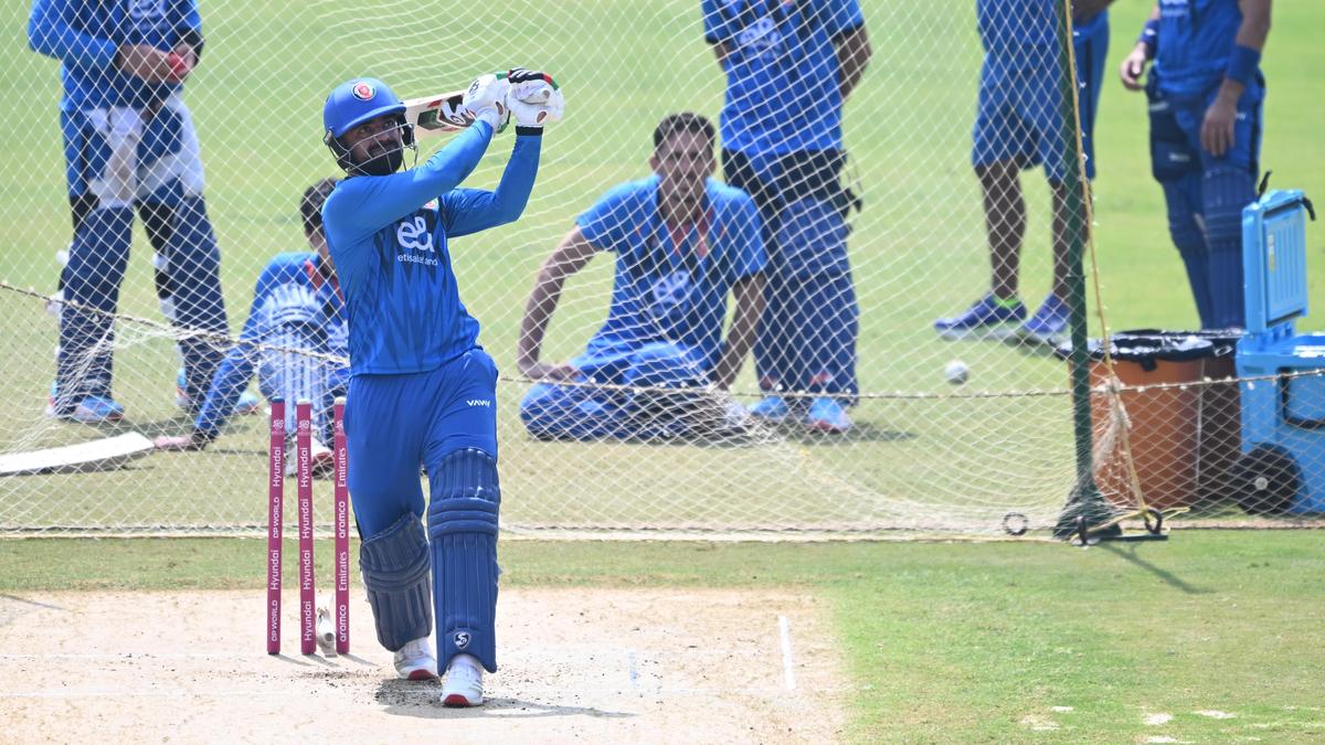 T20 World Cup: Spin-heavy Afghanistan eyes New Zealand scalp