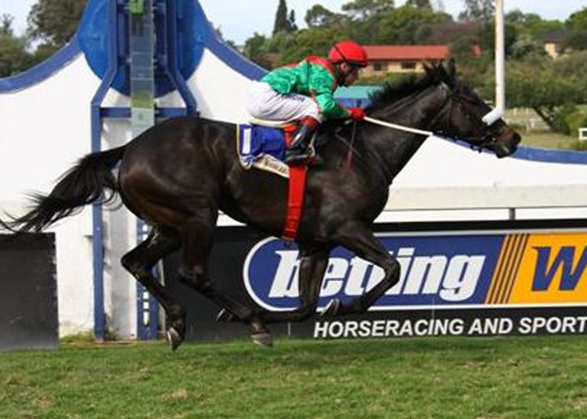 Champion South African Racemare Ebony Flyer Dies