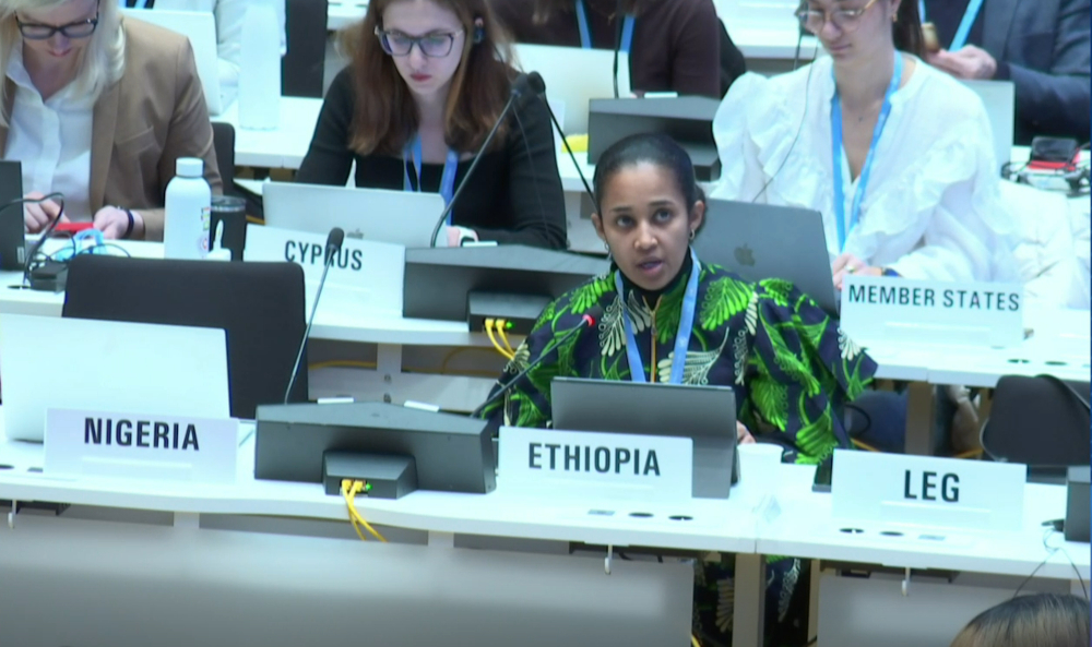 Intellectual Property Dispute Stalls WHO Decision On Global AMR Strategy