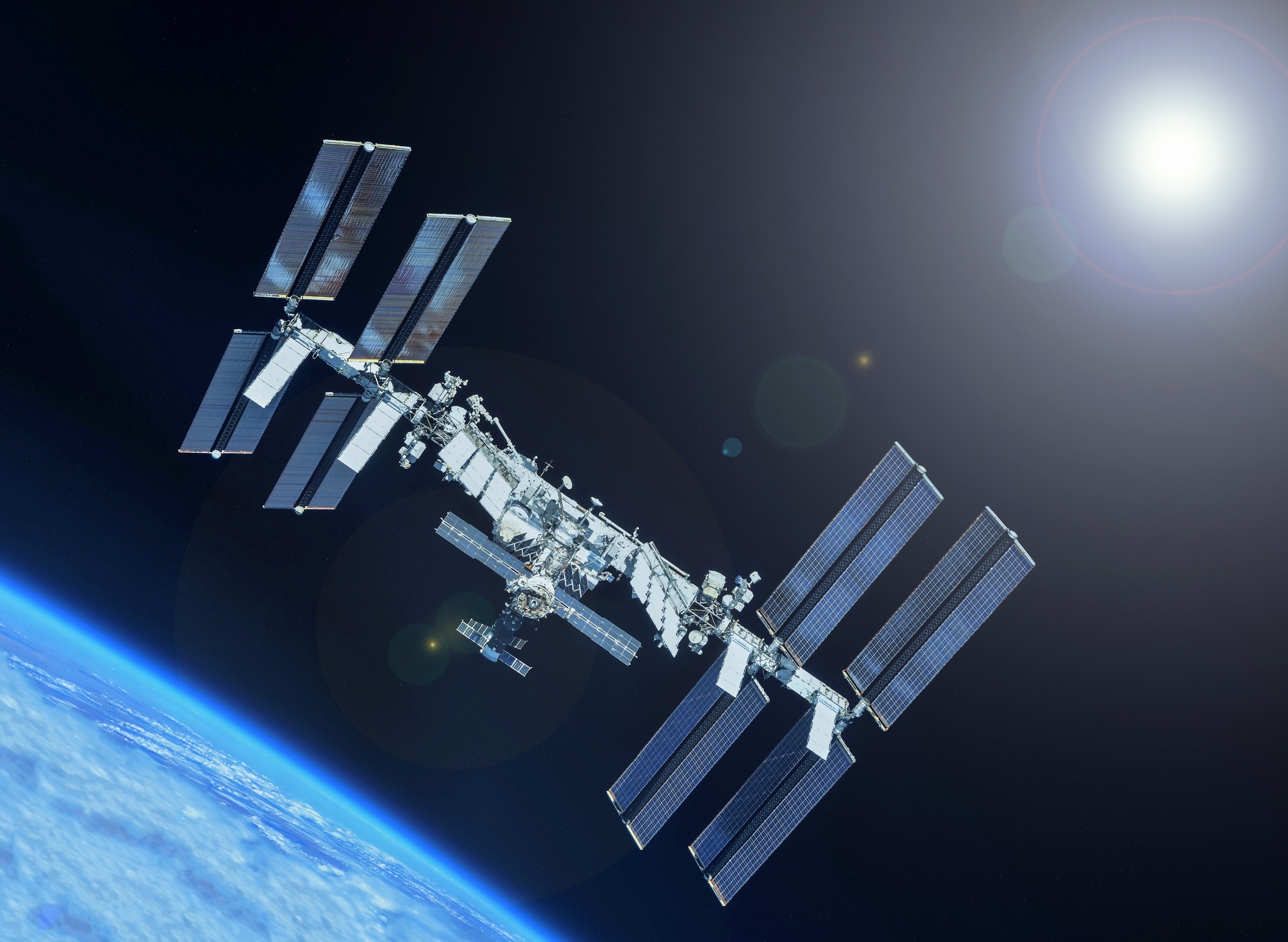 Space fungus mines rare metal from meteorites