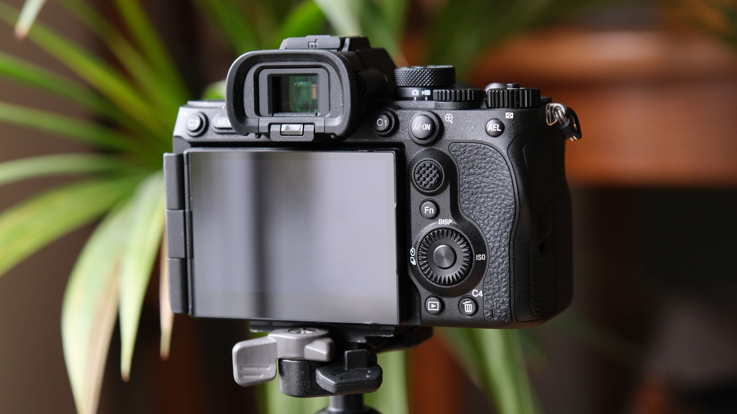 After a blockbuster debut, this mirrorless tops Japan’s best-selling chart again… but a compact camera is now breathing down its neck