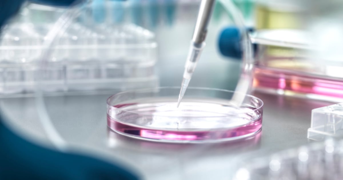 Creatine reference intakes, coffee pulp extract and beetroot in science news round-up