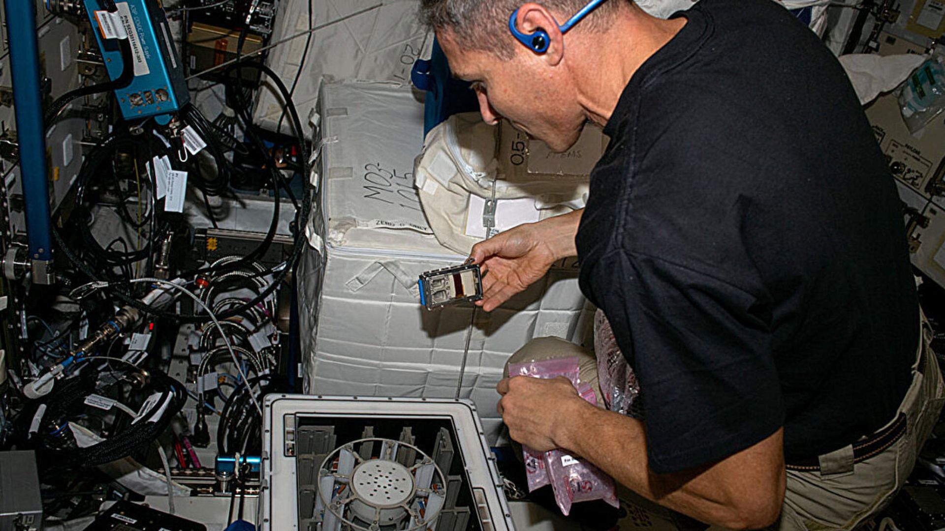 Space station experiment shows microbes extract metals from meteorites