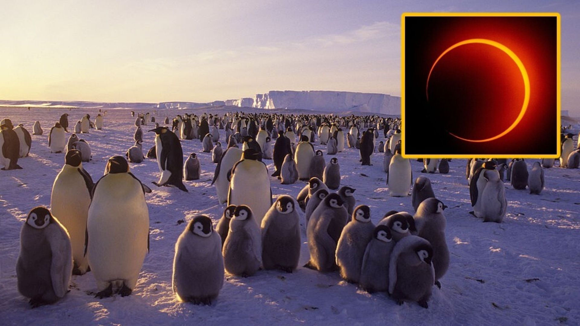 Lucky few to see ‘ring of fire’ solar eclipse over Antarctica on Feb. 17