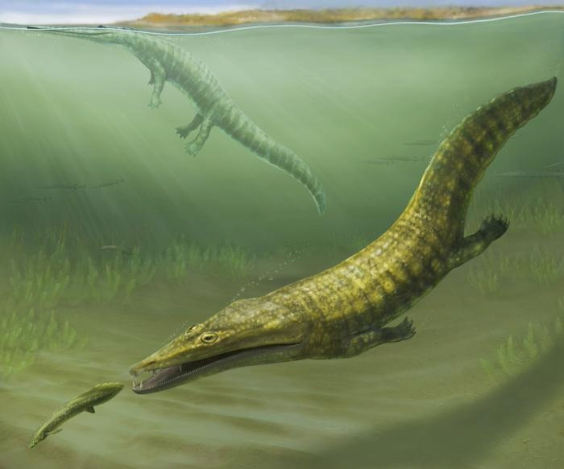 Lost ‘sea monster’ fossils reveal global ocean takeover