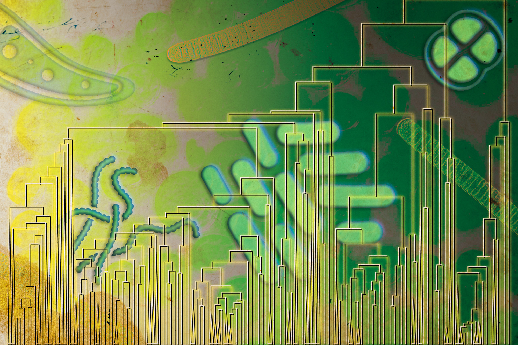 Some early life forms may have breathed oxygen well before it filled the atmosphere | MIT News