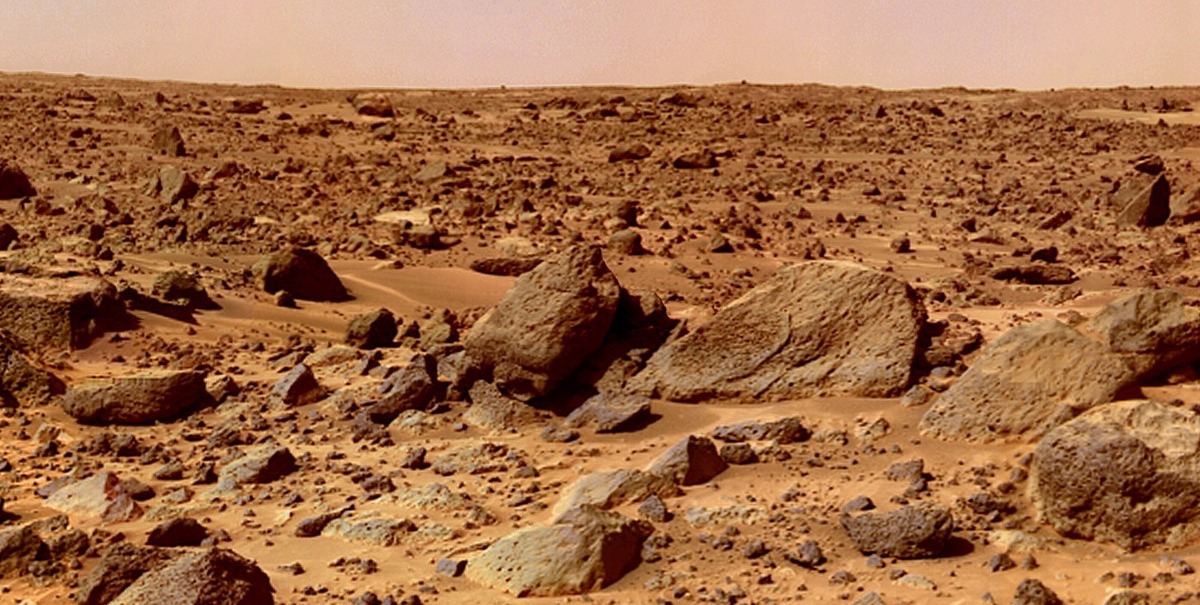 Literary Hub » What Growing Up On Mars Would Do to the Human Body