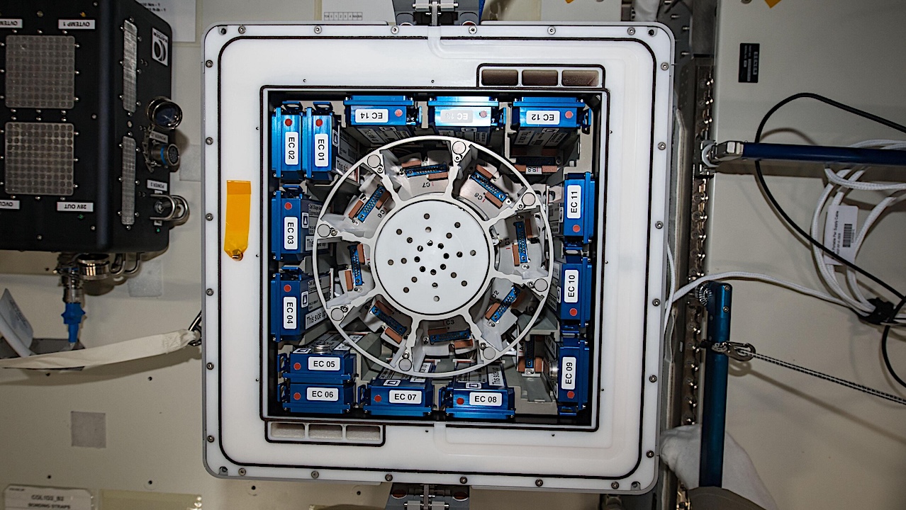 Microbial Biomining From Asteroidal Material Onboard The International Space Station