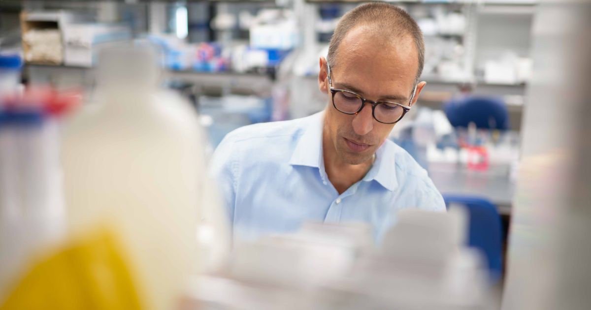 A Nerve-Based Approach to Helping Elderly Recover After Surgery