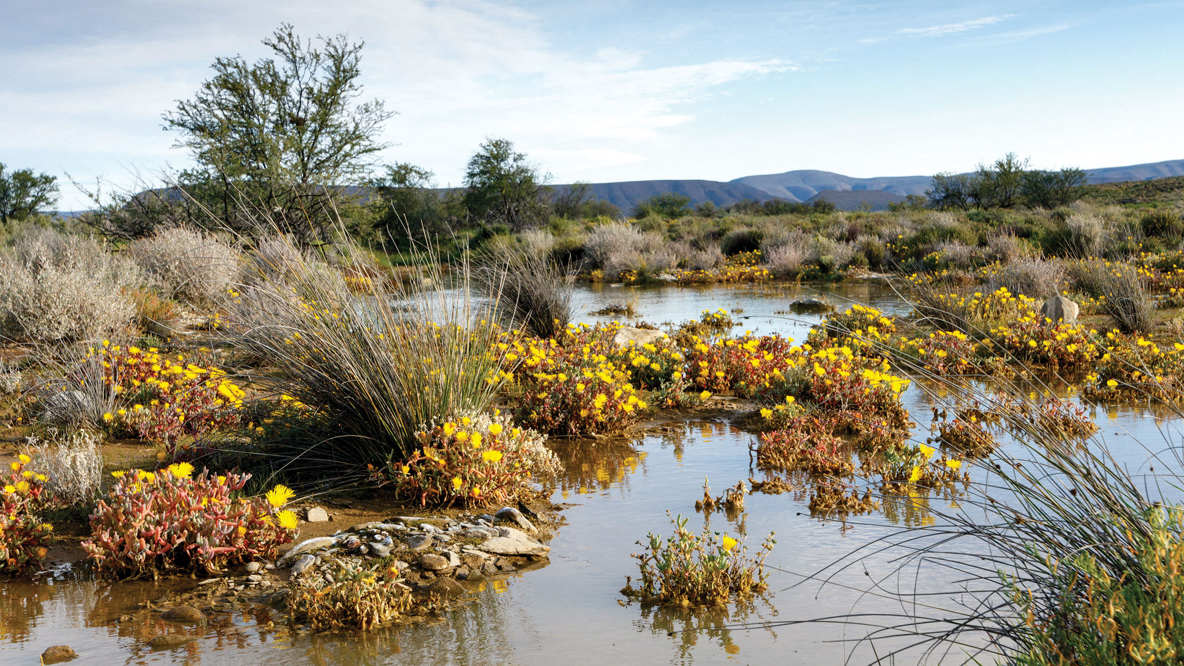 How COVID shutdowns led to a methane surge