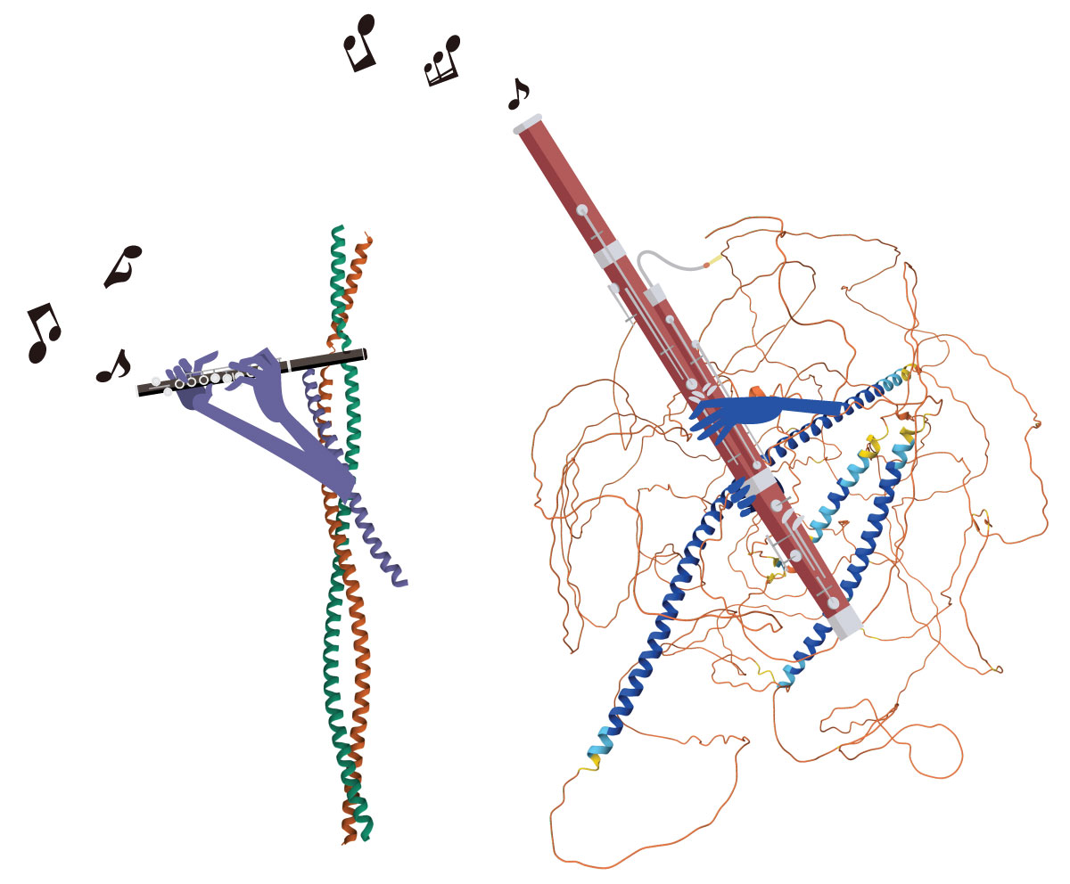 Music inspires proteins and scientists alike