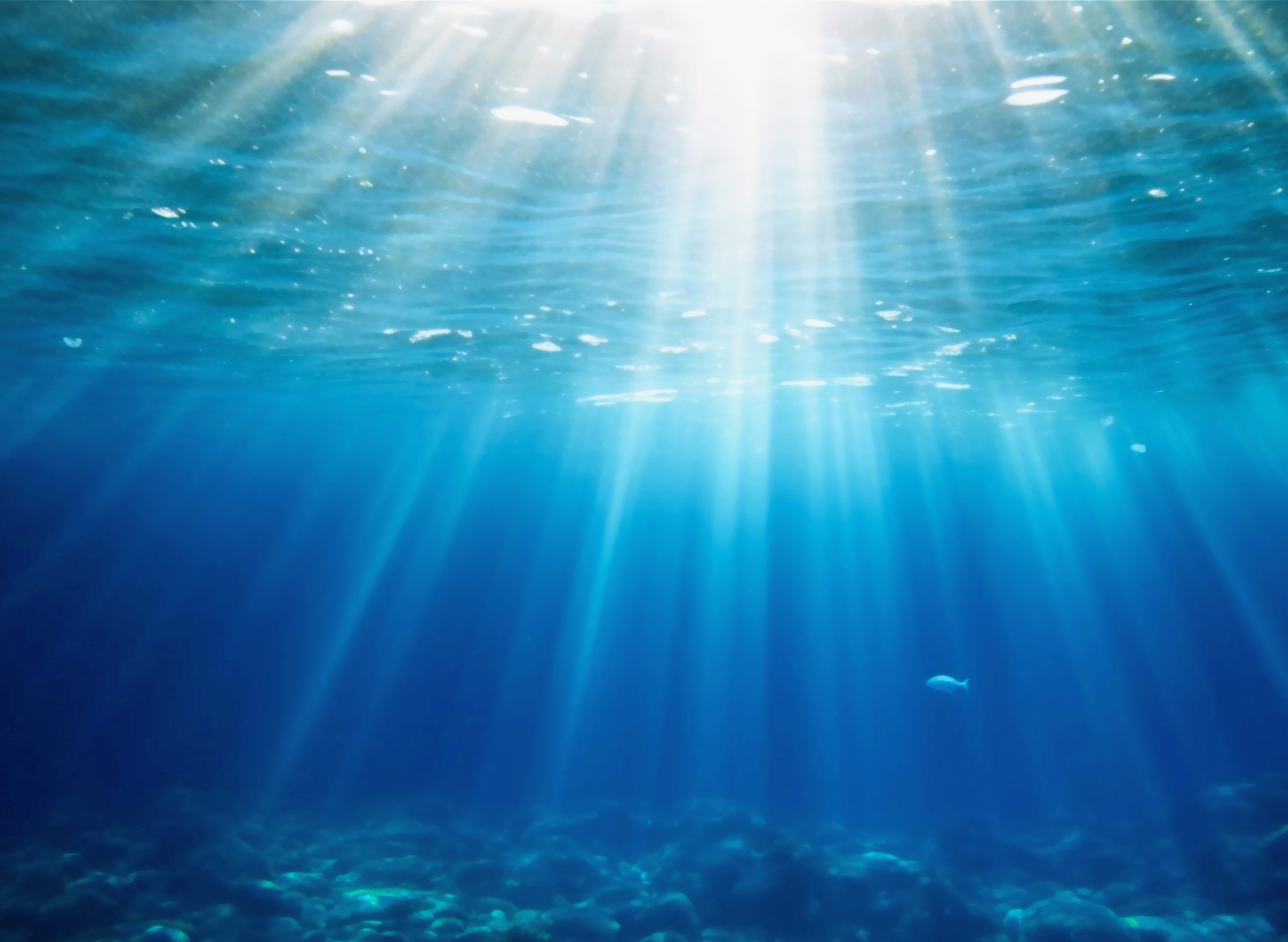 Ocean pressure changes how carbon travels to the seafloor