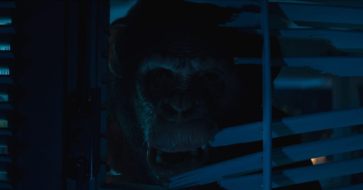 Transforming a Vacation Home Into a Deadly Cage