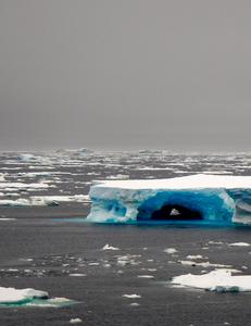 Unexpected climate feedback links Antarctic ice sheet with reduced carbon uptake