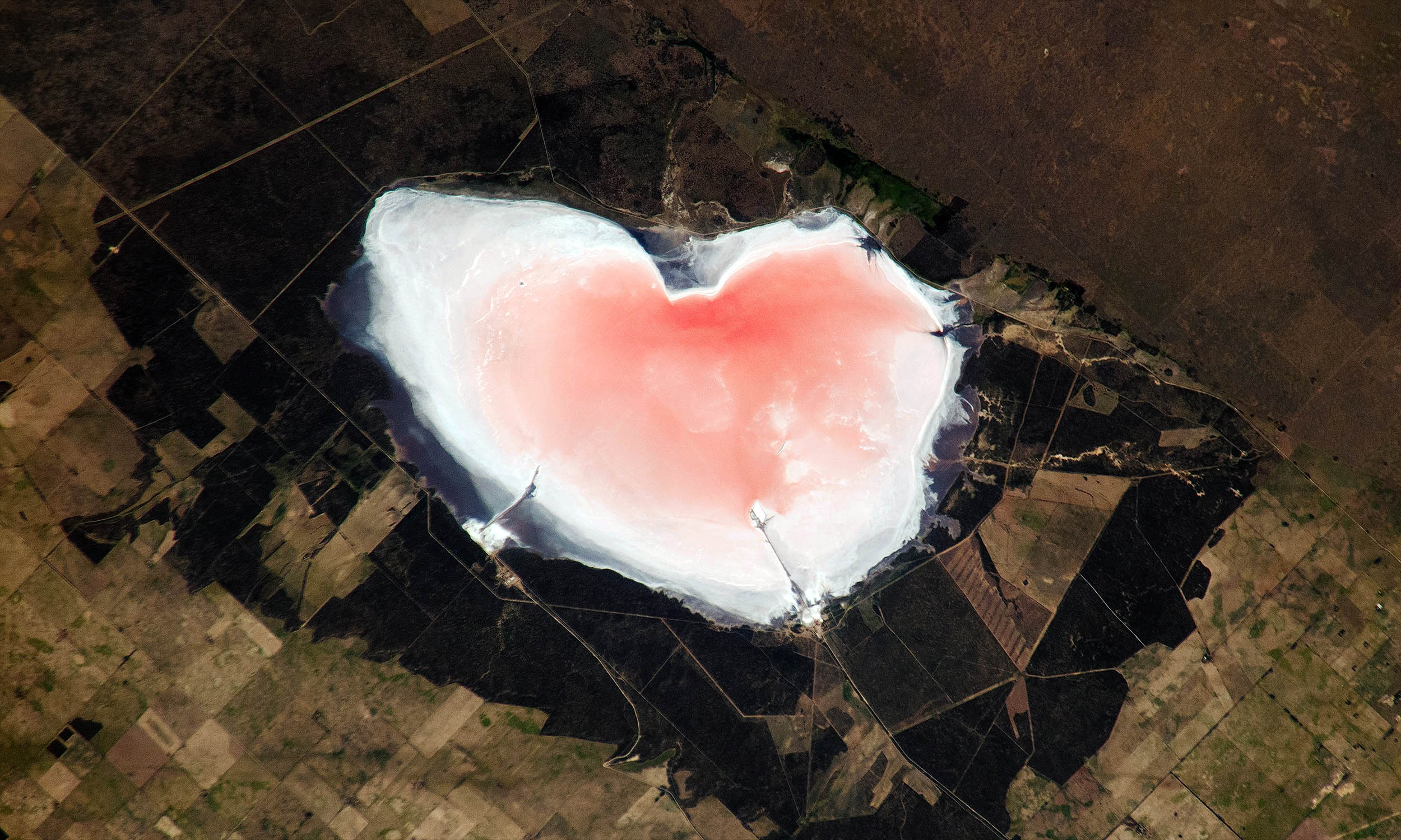 NASA captures a heart-shaped pink lake from the Space Station