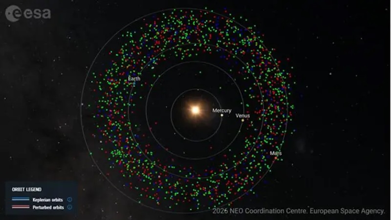 Taxonomic Classification Of 80 Near-Earth Asteroids Reveals Key Insights Into Their Origins, Evolution And Planetary Defense Significance