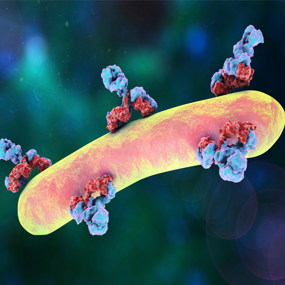 Antibodies block bacteria that cause tuberculosis, study shows: Newsroom