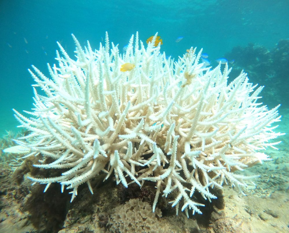 Earth may be approaching irreversible climate tipping points