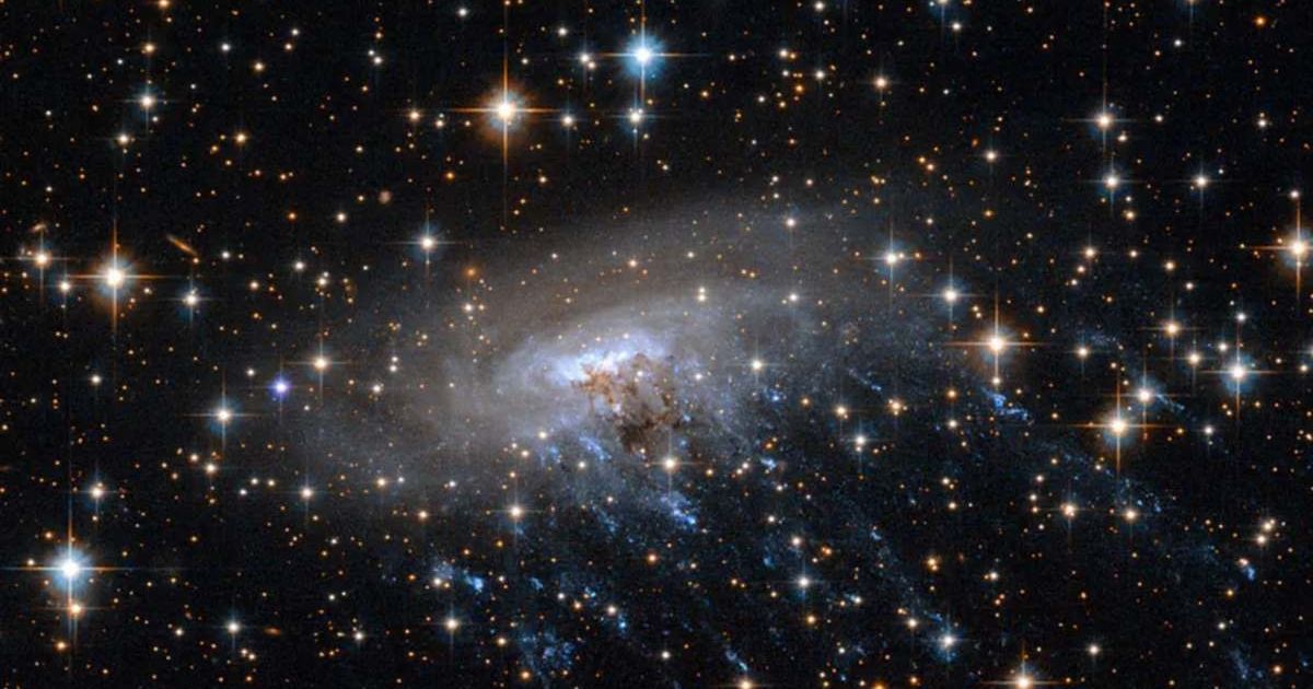 NASA’s James Webb Space Telescope captures a rare jellyfish galaxy from 8.5 billion years ago