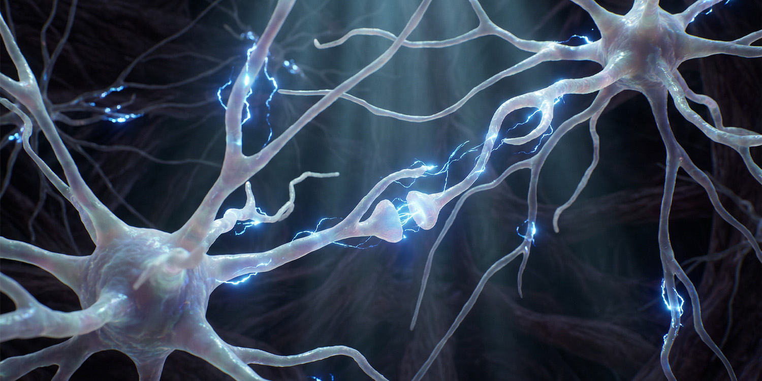 Scientists use machine learning to control specific brain circuits