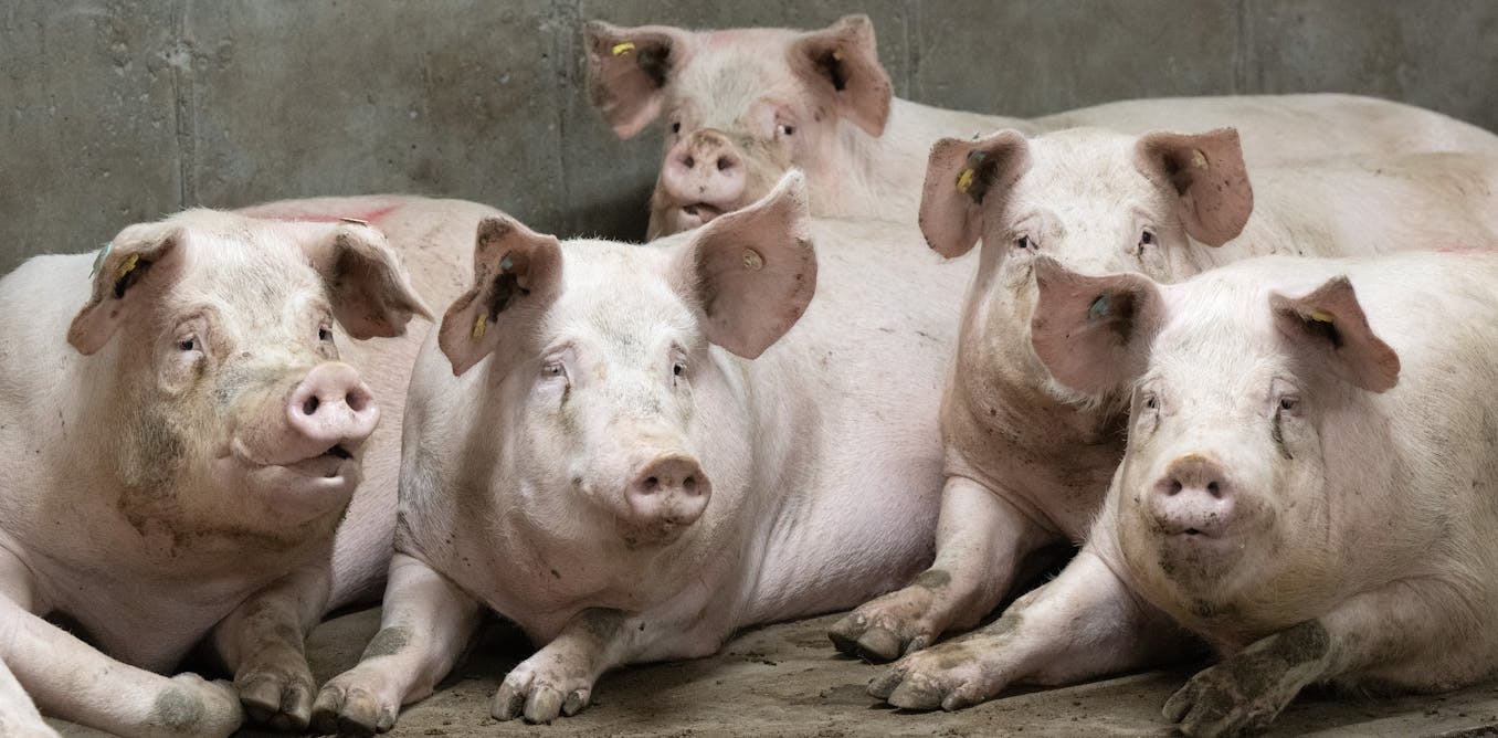 To label or not to label?