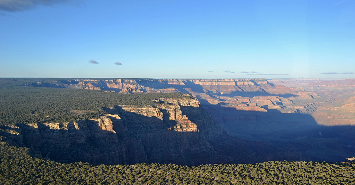 The Tonto Deformation: Responding Again to “Peaceful Science” Critics