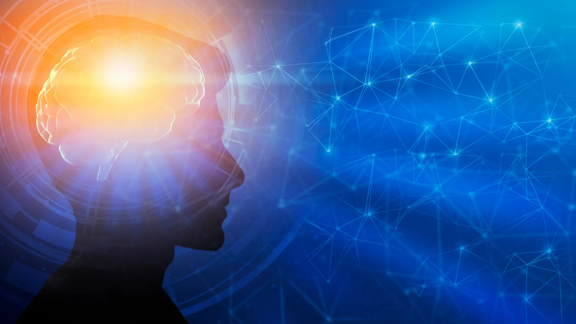 Brain development may continue into your 30s, new research shows