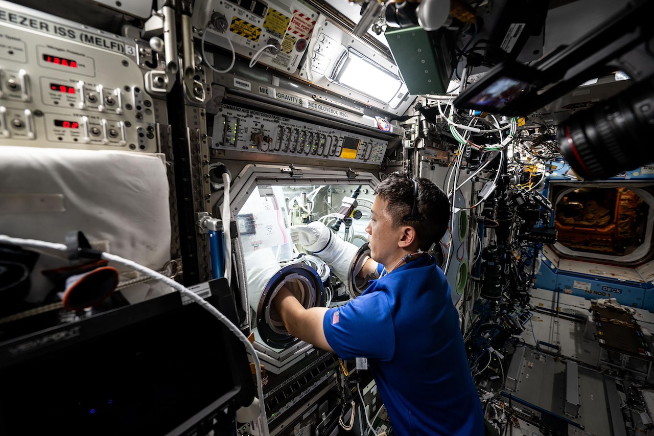 Urgent to understand how human fertility functions beyond Earth, scientists say