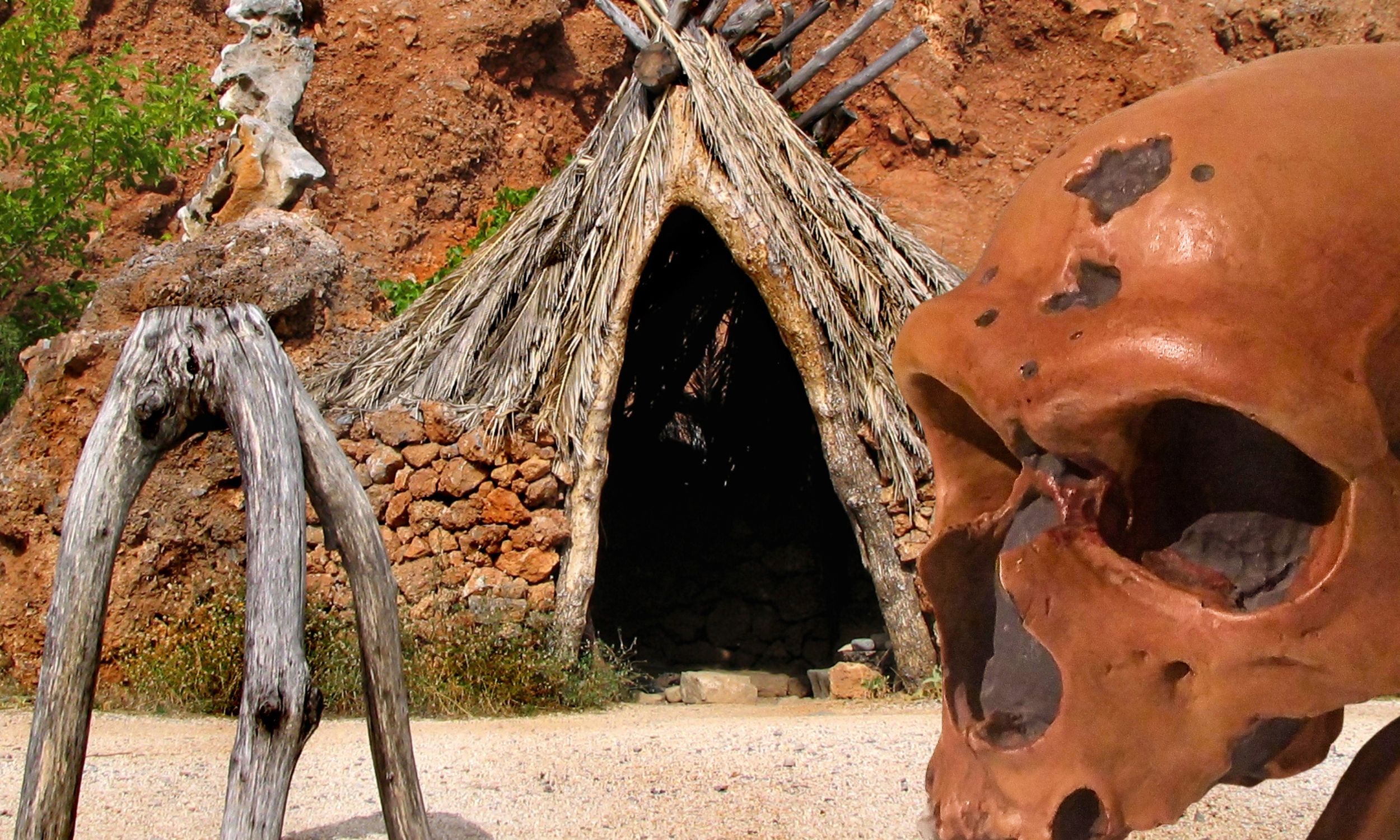 Women’s labor shaped human evolution in ways long overlooked