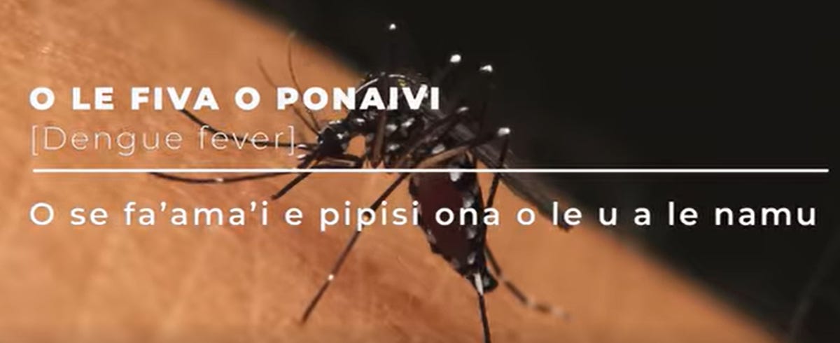 Samoa reports dengue death in 7 month old infant