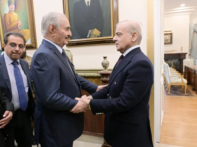 Pakistan, Libya affirm shared intent to promote peace and stability