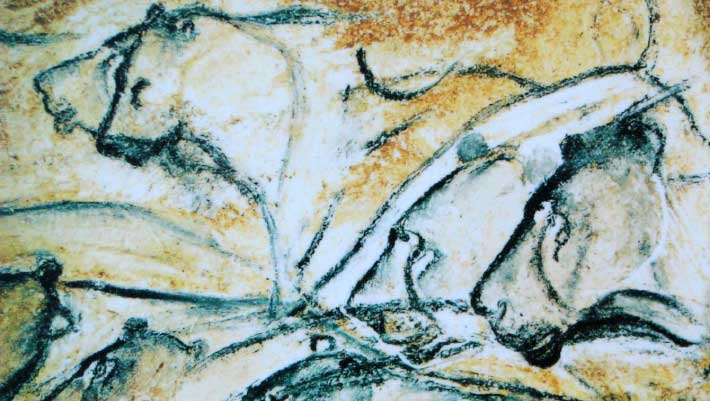 Japanese Archipelago Was Once a Refuge for Cave Lions