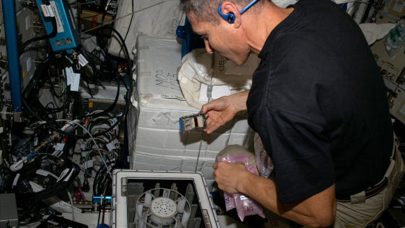 Fungi on International Space Station Show Surprising Metal Extraction Skills