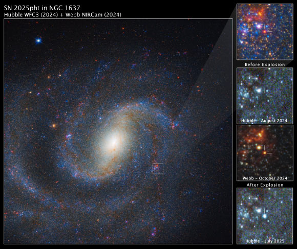 Webb Identifies Supernova Progenitor Star in NGC 1637