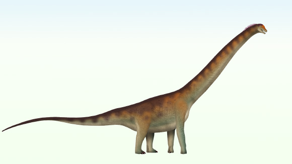 New Sauropod Dinosaur Species Identified in Brazil