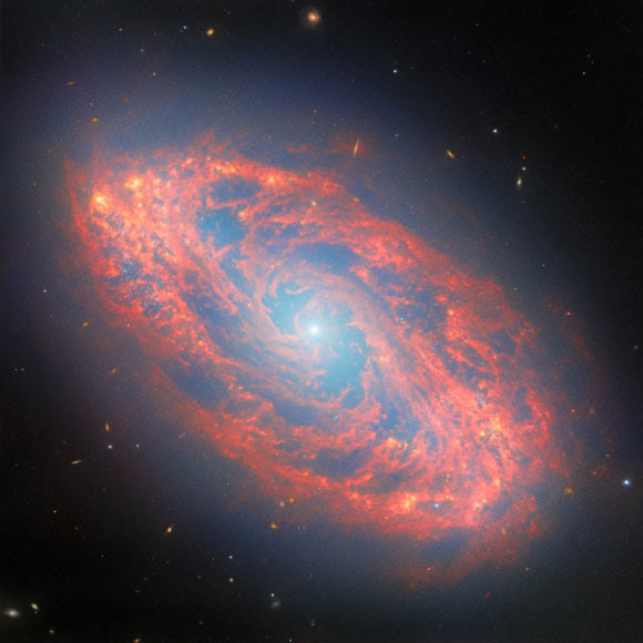 Webb Focuses on Spiraling Star Factory: NGC 5134