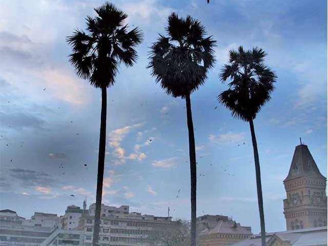 Strong winds sweep Karachi as clear weather holds