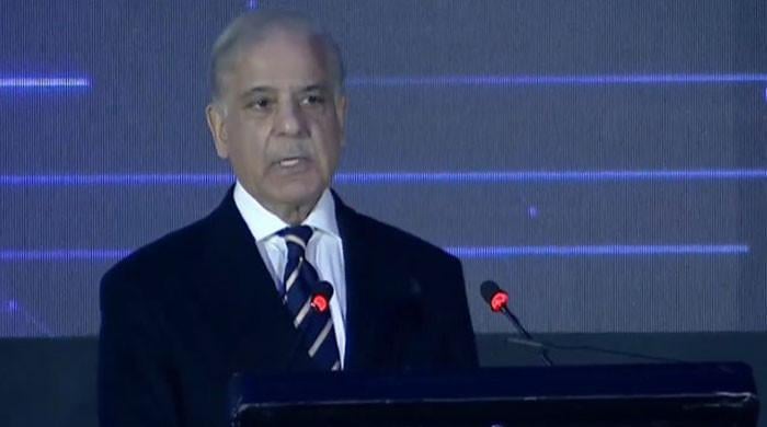 Govt to invest $1bn in artificial intelligence by 2030: PM Shehbaz