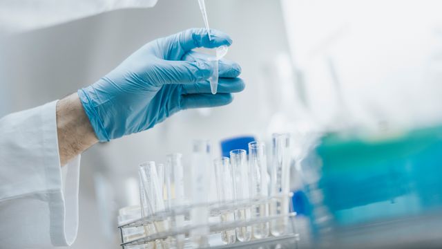 FDA Push To Replace Animal Testing Raises Safety Concerns