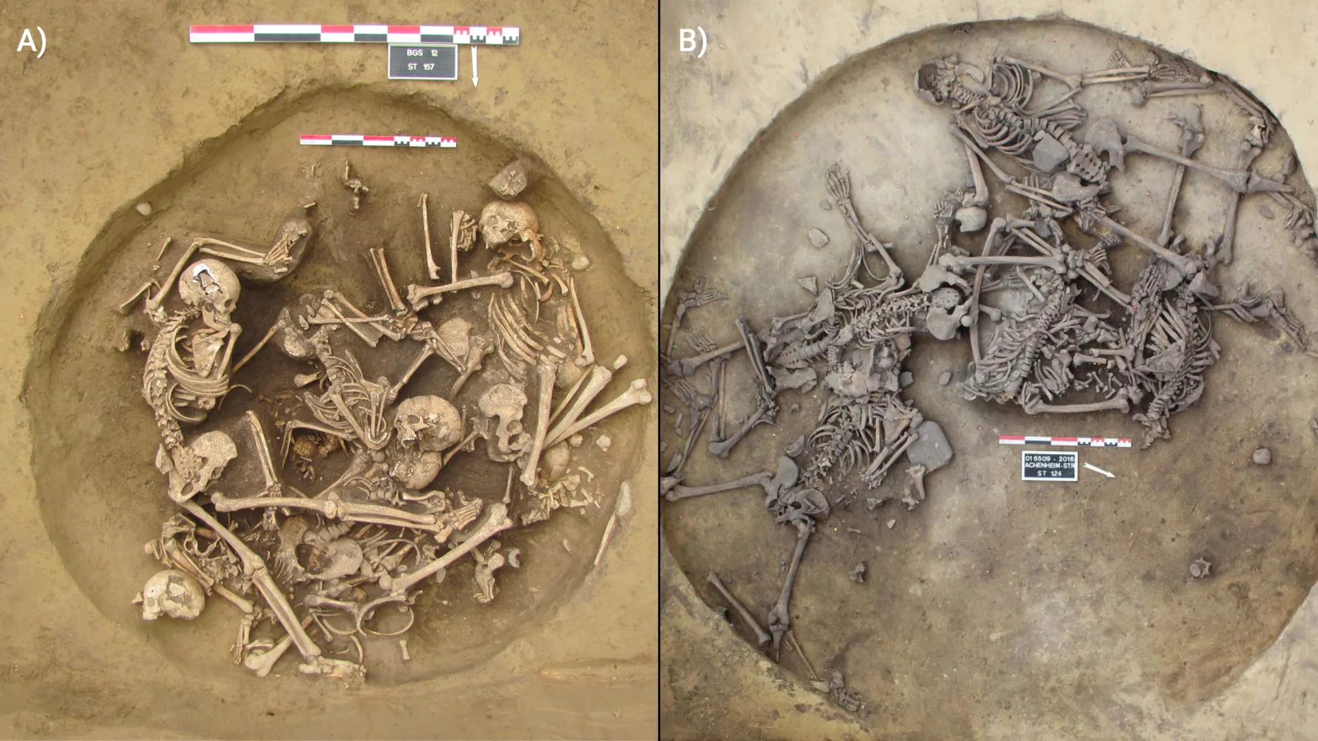 Ancient bones reveal chilling victory rituals after Europe’s earliest wars