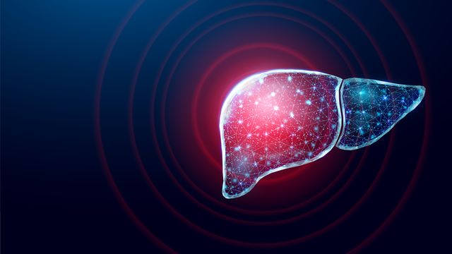 Liver Model Advances Drug Discovery for Fatty Liver Disease